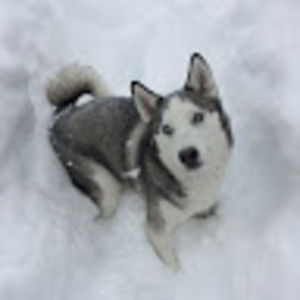 Meet your Posher, Maureen